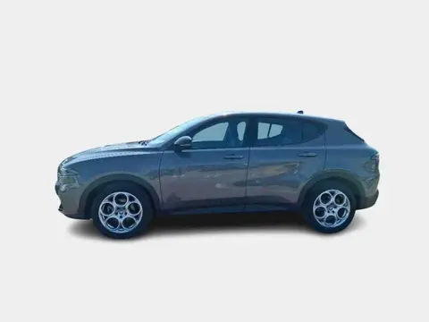 Used ALFA ROMEO TONALE Hybrid 2023 Ad 