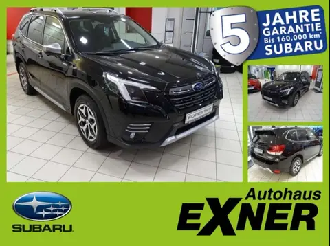 Used SUBARU FORESTER Petrol 2024 Ad 