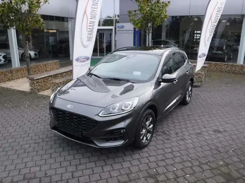 Annonce FORD KUGA Hybride 2022 d'occasion 