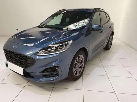 Used FORD KUGA Petrol 2023 Ad 