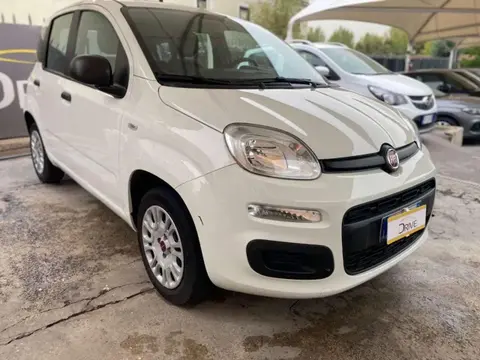 Annonce FIAT PANDA GPL 2019 d'occasion 