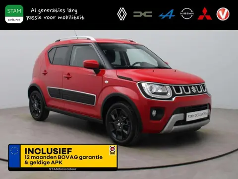 Used SUZUKI IGNIS Petrol 2021 Ad 