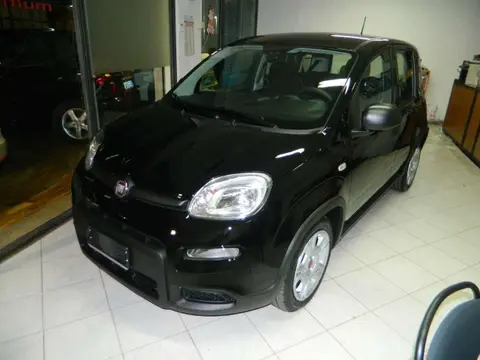 Annonce FIAT PANDA Hybride 2024 d'occasion 