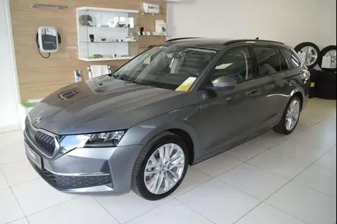 Annonce SKODA OCTAVIA Diesel 2024 d'occasion 