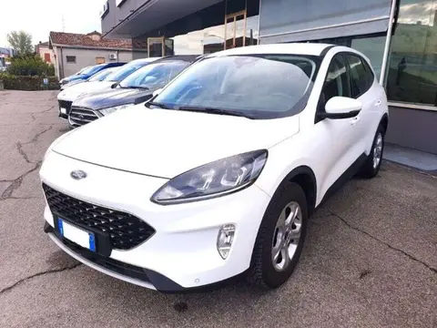 Used FORD KUGA Diesel 2021 Ad 