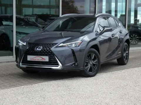 Used LEXUS UX Hybrid 2022 Ad 