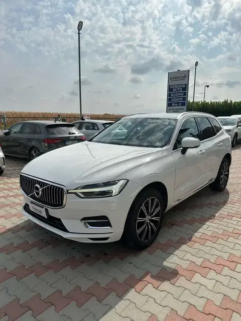 Used VOLVO XC60 Diesel 2019 Ad 