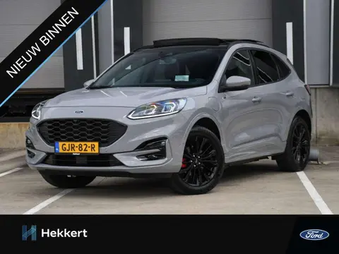 Annonce FORD KUGA Hybride 2024 d'occasion 