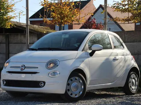 Used FIAT 500 Petrol 2023 Ad 