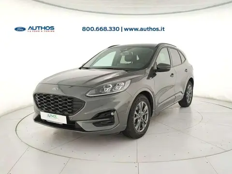 Used FORD KUGA Hybrid 2022 Ad 