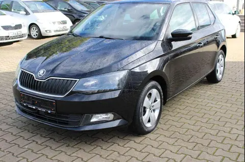 Used SKODA FABIA Petrol 2017 Ad 