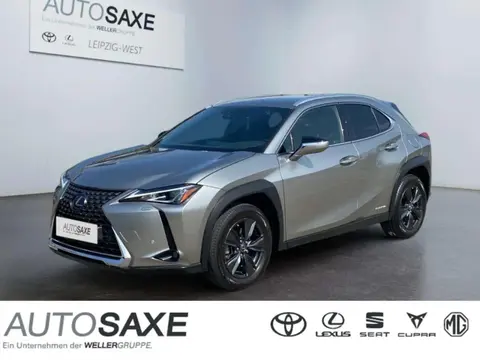 Annonce LEXUS UX Hybride 2019 d'occasion 