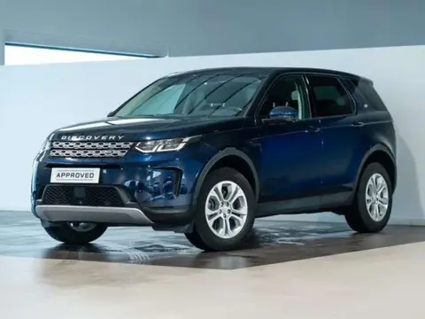 Used LAND ROVER DISCOVERY Hybrid 2021 Ad 