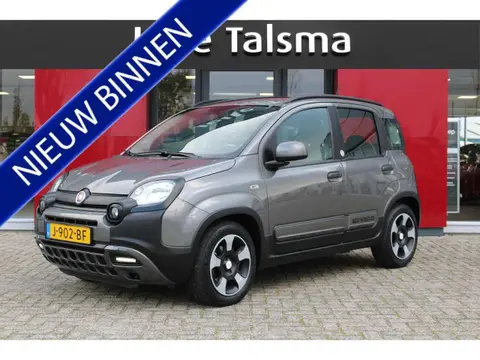 Used FIAT PANDA Hybrid 2020 Ad 