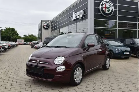 Used FIAT 500 Petrol 2019 Ad 