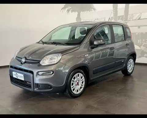 Used FIAT PANDA Hybrid 2023 Ad 