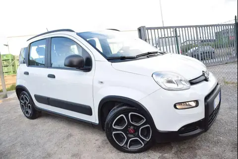 Annonce FIAT PANDA Hybride 2022 d'occasion 