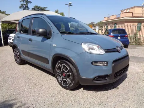 Used FIAT PANDA Hybrid 2021 Ad 