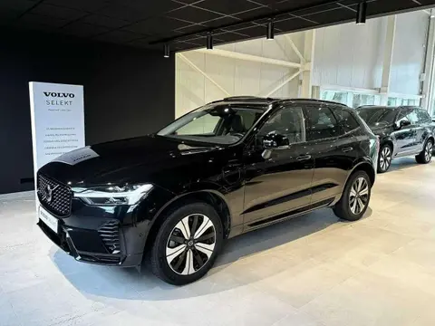 Annonce VOLVO XC60 Hybride 2023 d'occasion Belgique