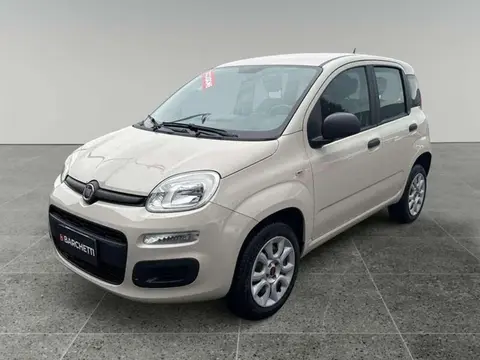 Annonce FIAT PANDA  2016 d'occasion 