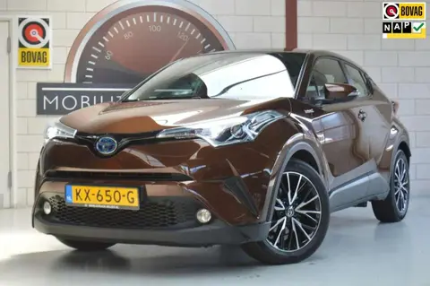 Used TOYOTA C-HR Hybrid 2016 Ad 