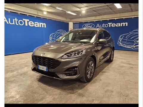 Used FORD KUGA Hybrid 2021 Ad 