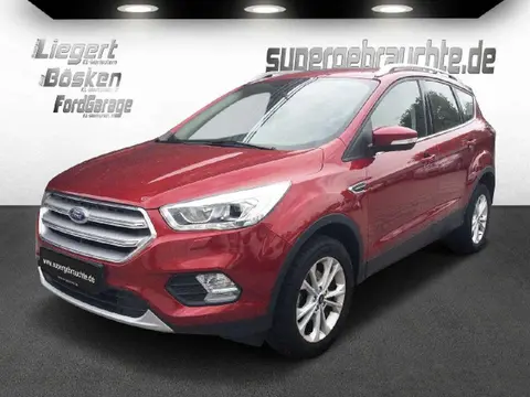 Used FORD KUGA Petrol 2019 Ad 