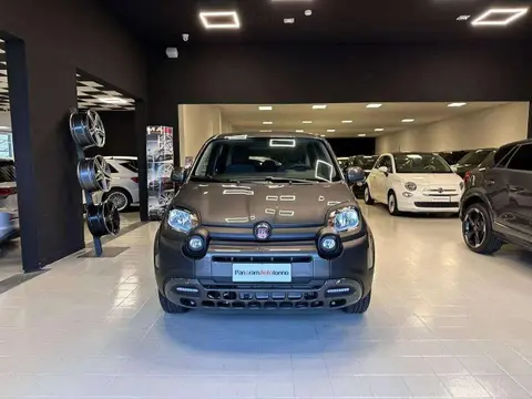 Annonce FIAT PANDA Hybride 2024 d'occasion 