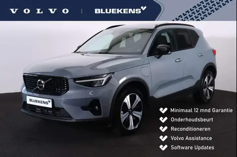 Used VOLVO XC40 Hybrid 2022 Ad 