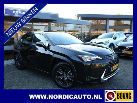 Annonce LEXUS UX Hybride 2019 d'occasion 