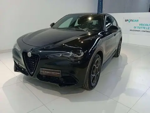 Annonce ALFA ROMEO STELVIO Diesel 2023 d'occasion 