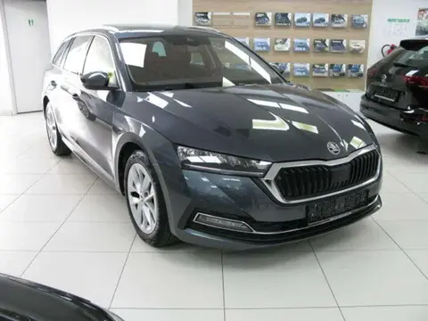 Used SKODA OCTAVIA Petrol 2020 Ad 