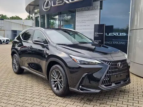 Used LEXUS NX Hybrid 2024 Ad 