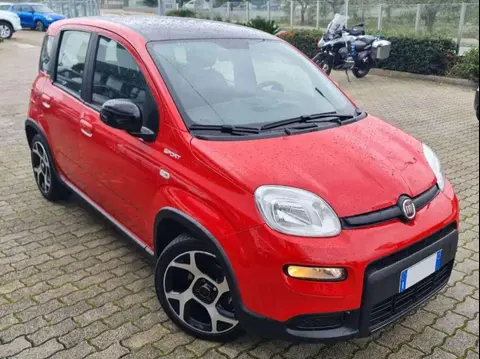 Used FIAT PANDA Hybrid 2021 Ad 