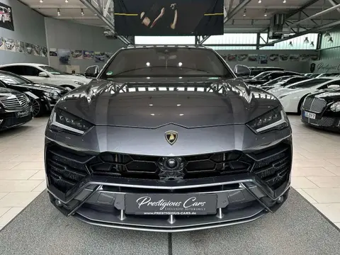 Used LAMBORGHINI URUS Petrol 2018 Ad 