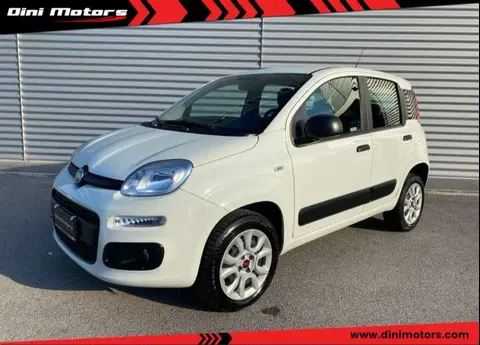 Annonce FIAT PANDA  2016 d'occasion 