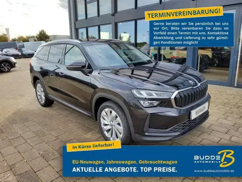 Used SKODA KODIAQ Petrol 2024 Ad 