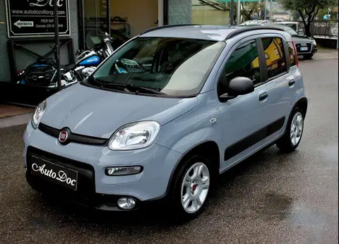 Annonce FIAT PANDA Hybride 2023 d'occasion 