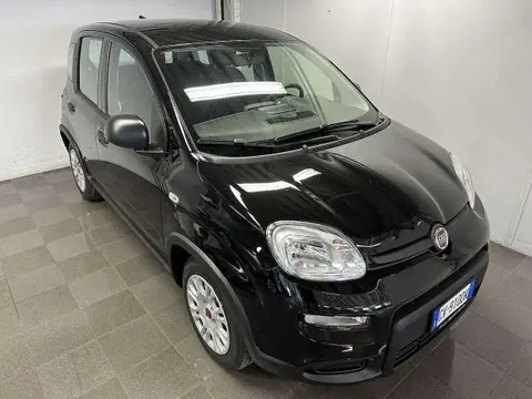 Used FIAT PANDA Petrol 2024 Ad 