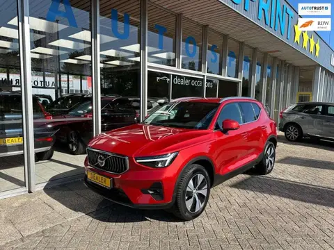 Annonce VOLVO XC40 Hybride 2024 d'occasion 