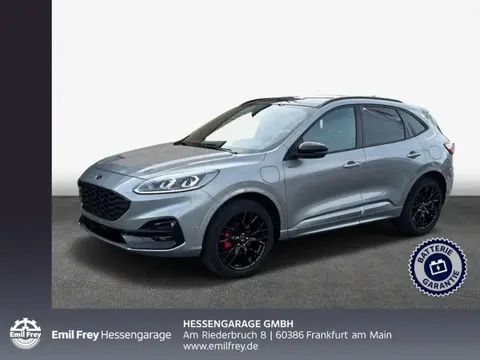 Used FORD KUGA Hybrid 2024 Ad 