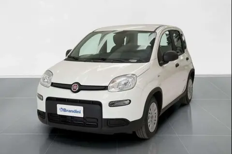 Annonce FIAT PANDA Hybride 2024 d'occasion 