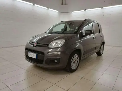 Used FIAT PANDA Hybrid 2020 Ad 