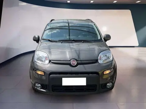 Annonce FIAT PANDA Hybride 2023 d'occasion 