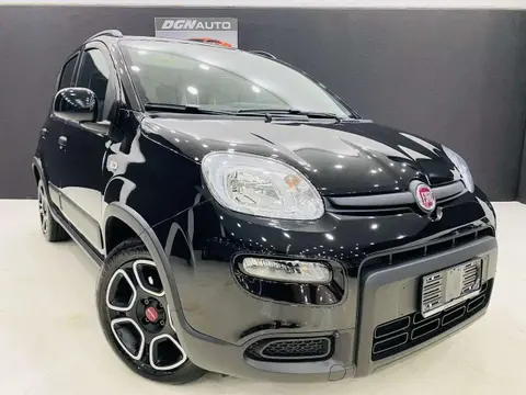 Used FIAT PANDA Hybrid 2022 Ad 