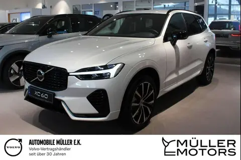 Annonce VOLVO XC60 Essence 2024 d'occasion 