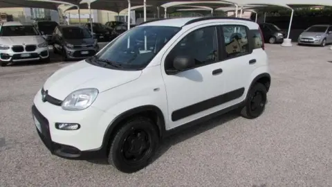 Annonce FIAT PANDA Essence 2019 d'occasion 