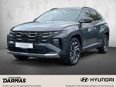 Annonce HYUNDAI TUCSON Hybride 2024 d'occasion 