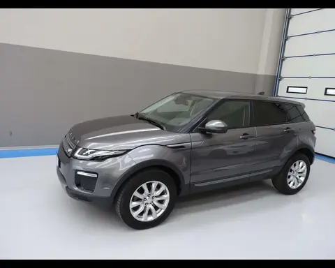 Annonce LAND ROVER RANGE ROVER EVOQUE Diesel 2019 d'occasion 