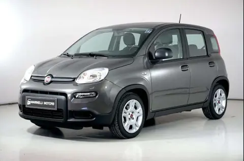 Used FIAT PANDA Hybrid 2024 Ad 